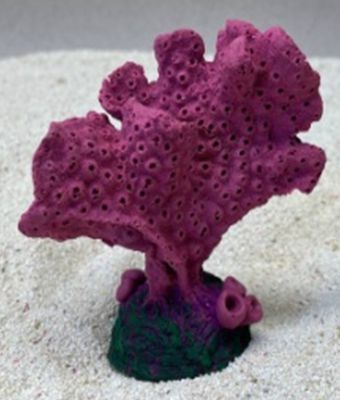 Цветной коралл пурпурный Акропора, 9*5*10 см