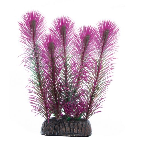 Растение Laguna "Перистолистник" фиолетовый, 100 мм