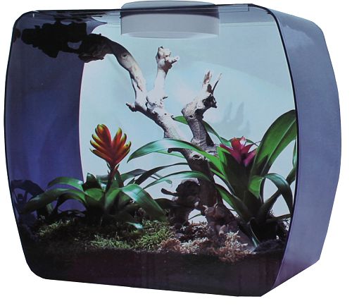 Lucky Reptile "Life Box 30" инсектариум/аквариум универсальный, сиреневый, 14 л