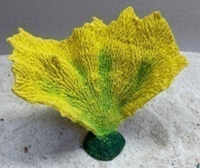 Цветной коралл желтый Коралл веер, 17*7*15 см