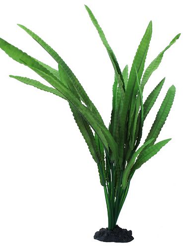 Растение шелковое PRIME Криптокорина Балансе, 13 см