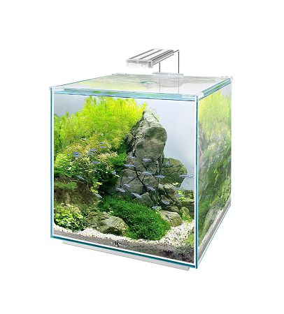 Аквариум Biodesign Q-SCAPE OPTI 22,5, 29х29х33 см, 22,5 л