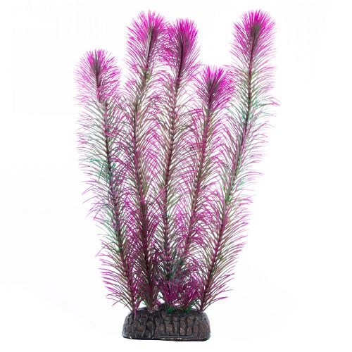 Растение Laguna "Перистолистник" фиолетовый, 300 мм