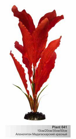 Шёлковое растение Barbus Апоногетон мадагаскарский красный 20 см