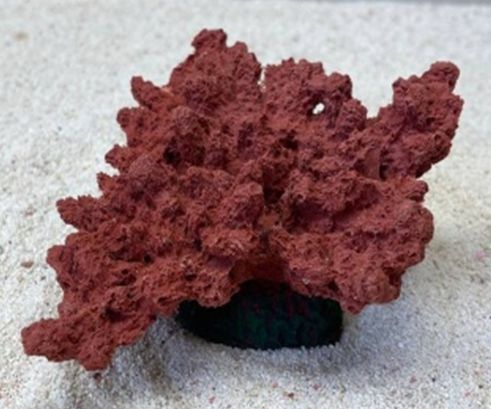 Цветной коралл красный Коралл корона, 13*10*6,5 см