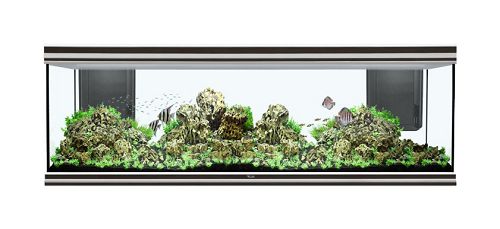 Аквариум AQUATLANTIS FUSION 200, 682 л, 200x60x70 см, LED-светильник 2х86w от интернет-магазина STELLEX AQUA