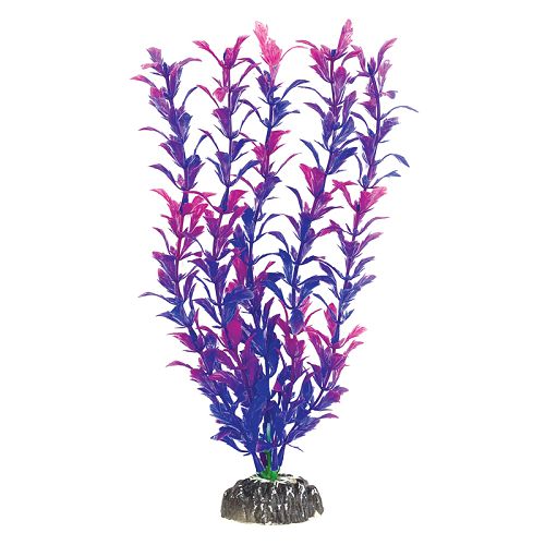 Растение Laguna "Людвигия фиолетовая", 300 мм
