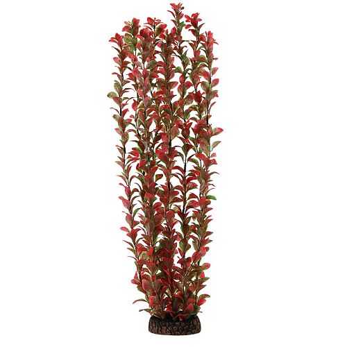 Растение Laguna "Людвигия" красная, 500 мм