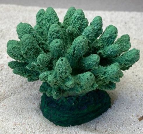 Цветной коралл зеленый Коралл, 13*10*10 см