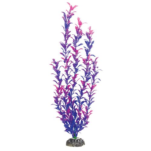 Растение Laguna "Людвигия фиолетовая", 500 мм