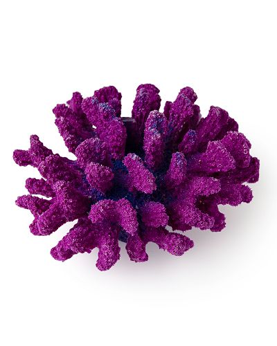 Кр-1532 Коралл брокколи фиолетовый, 14*13*7 см