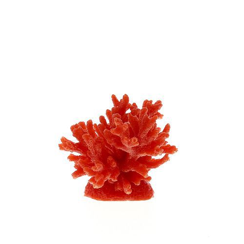 Коралл VITALITY мягкий, пластик, красный, 8x8x6,5 см