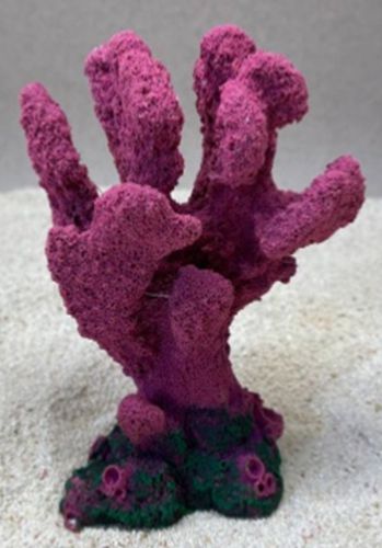 Цветной коралл пурпурный Коралл, 10*6*14 см
