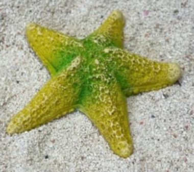 Кр-2147н Цветной коралл желтый Звезда средняя, 9*9*2 см