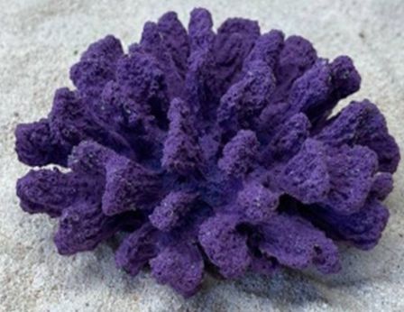 Цветной коралл фиолетовый Коралл брокколи, 14*13*7 см