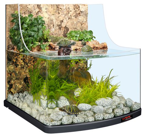 Акватеррариум Sera Reptil Aqua Biotop, 80 л, 51х57х54,5 см