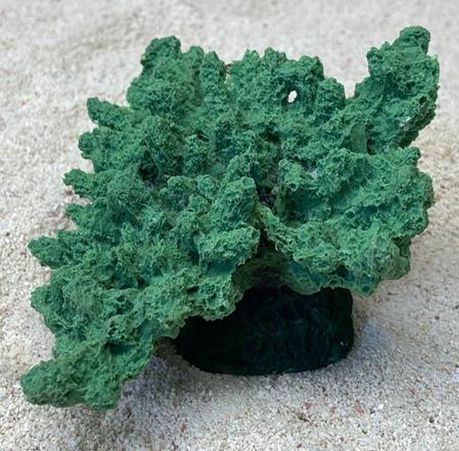Цветной коралл зеленый Коралл корона, 13*10*6,5 см