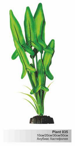 Шёлковое растение Barbus Анубиас Хастифолия 20 см