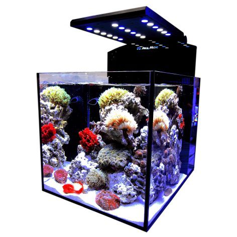 Aqua Medic "Blenny advanced" аквариум нанорифовый, без тумбы, 80 л