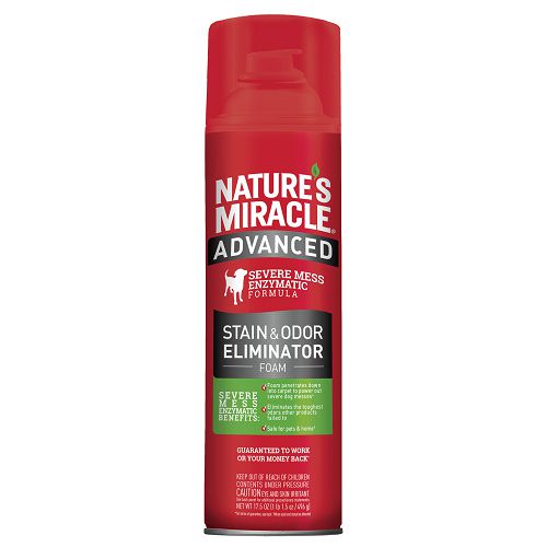 Пена-аэрозоль Natures Miracle Advanced Dog Stain & Odor Eliminator с усиленной формулой от пятен и запахов для собак, 518 мл