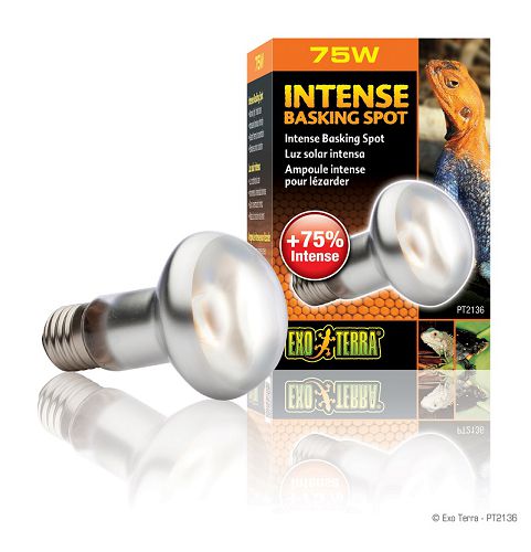 Exo Terra INTENSE BASKING SPOT террариумная лампа дневного света для баскинга, 75 Вт