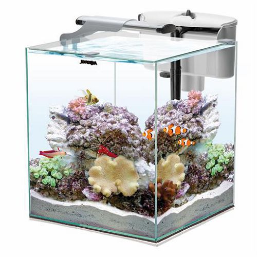 Aквариум морской Aquael NANO REEF DUO 2.0 белый, 49 л