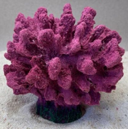 Цветной коралл пурпурный Коралл средний, 18*17*14 см