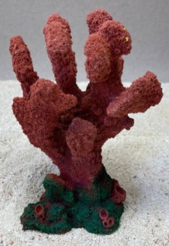 Цветной коралл красный Коралл, 10*6*14 см
