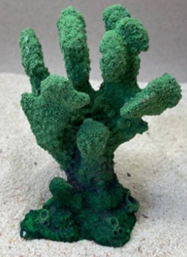 Цветной коралл зеленый Коралл, 10*6*14 см