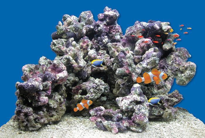 Камни для рифового аквариума