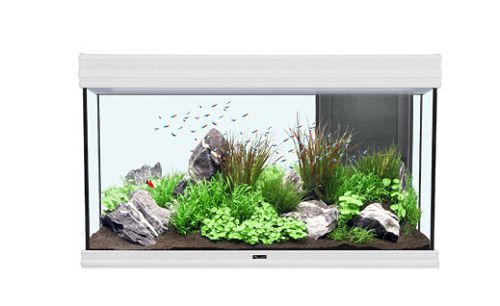 Аквариум AQUATLANTIS FUSION 100, глянец, 188 л, 101x40x60 см от интернет-магазина STELLEX AQUA