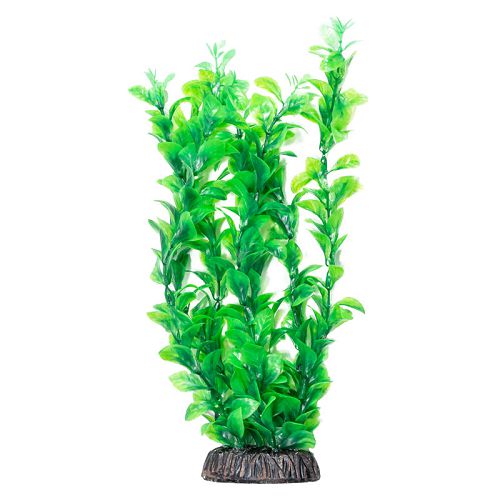Растение Laguna "Людвигия" зеленая, 300 мм