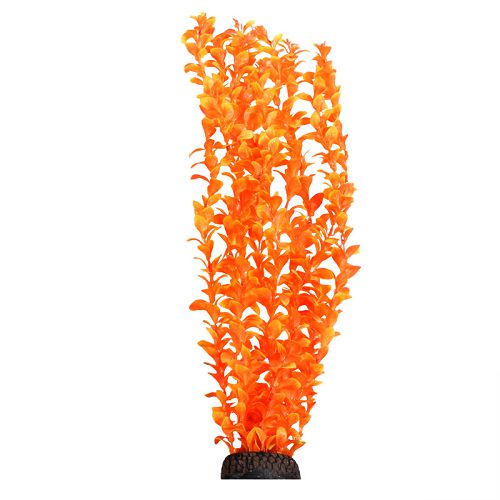 Растение Laguna "Людвигия" ярко-оранжевая, 500 мм