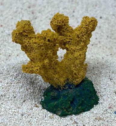 Цветной коралл оранжевый Коралл рога, 5,5*3,5*5 см