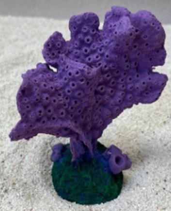 Цветной коралл фиолетовый Акропора, 9*5*10 см