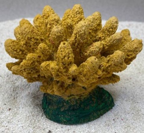 Цветной коралл оранжевый Коралл, 13*10*10 см