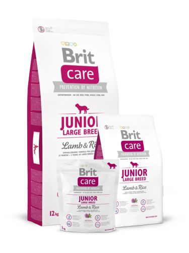 Корм Brit Care Junior Large Breed для щенков крупных пород, ягненок с рисом