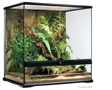 Exo Terra террариум, силикатное стекло, дверцы, покровная сетка и декоративный фон, 60х45х60 см