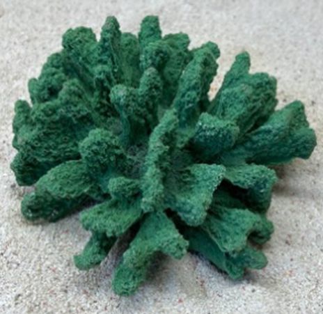 Цветной коралл зеленый Коралл брокколи, 14*13*7 см