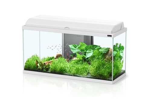 Аквариум AQUATLANTIS AQUADREAM 80, 90 л, 80х30х45 см от интернет-магазина STELLEX AQUA