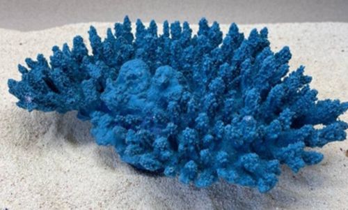 Цветной коралл синий Белиз 1, 28*19*10 см