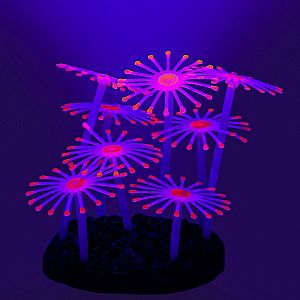 Флуоресцентная декорация GLOXY Анемон, 8.5x7×9.5 см