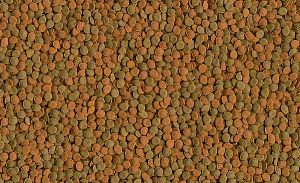 TetraWafer Mix корм для травоядных, хищных и&nbsp;донных рыб с&nbsp;добавлением креветок, пластинки 15&nbsp;г