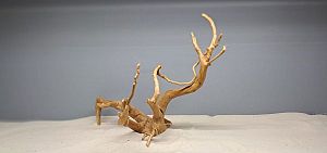 Коряга Сакура М, 30&minus;40&nbsp;см
