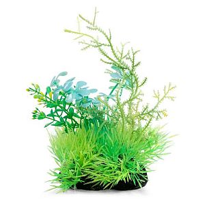 Композиция из светящихся растений Laguna, желто-бирюзовая, 120 мм