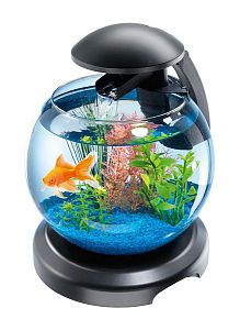 Tetra Cascade Globe аквариум круглый, черный, 6,8 л