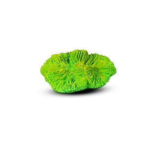 Коралл Лилия S Зеленый 7х6×3 см