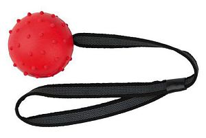 Мяч TRIXIE на веревке, D 6 см, 31 см, каучук