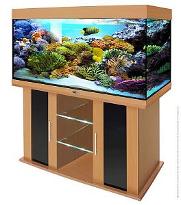 Аквариум Biodesign АТОЛЛ 400, без светильника, 370 л, 131х51×68 см