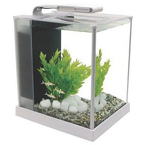 Hagen Fluval SPEC аквариум, белый, 10&nbsp;л